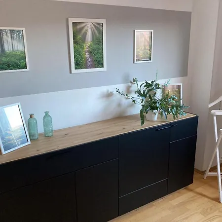 Gipfelglueck-bei-der-purpurbuche * Bad Harzburg