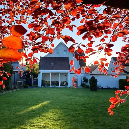 Gipfelglueck-bei-der-purpurbuche Διαμέρισμα *