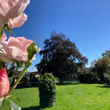 Gipfelglueck-bei-der-purpurbuche *