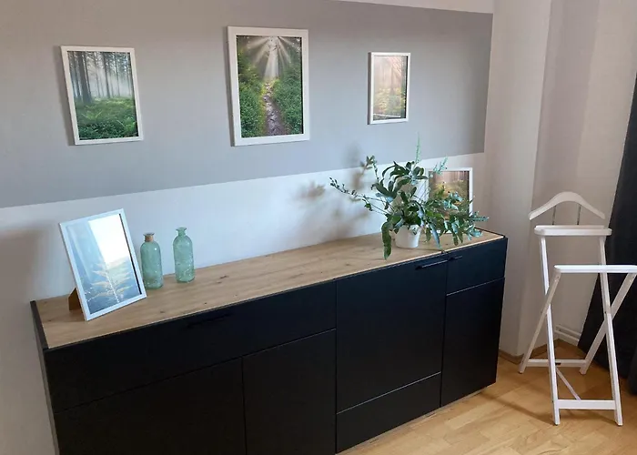 Gipfelglueck-bei-der-purpurbuche * Bad Harzburg